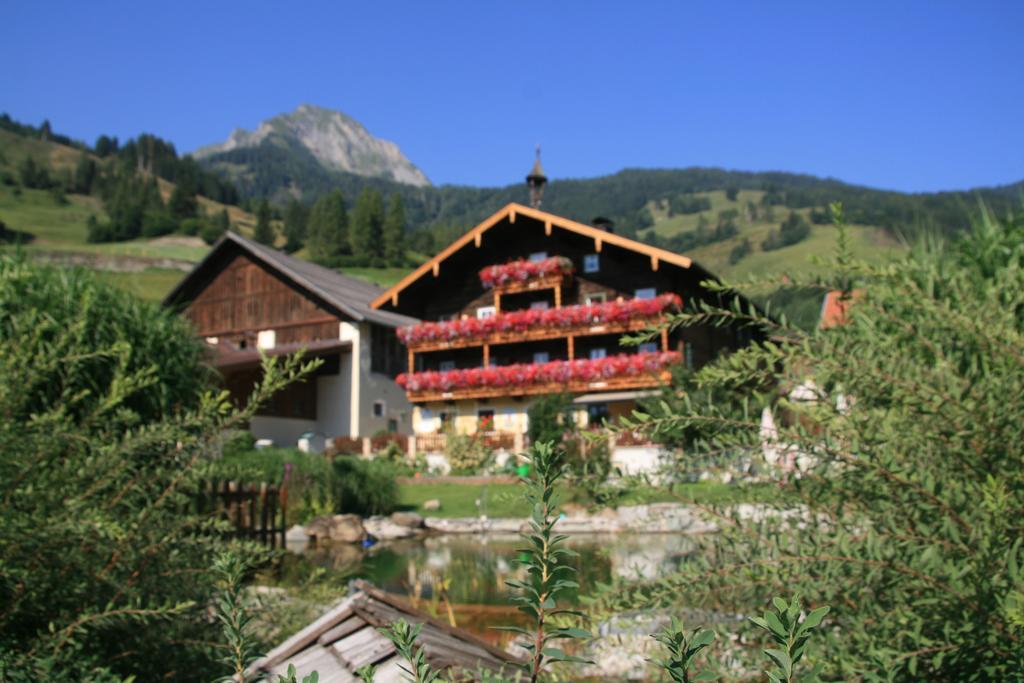 Amosergut Διαμέρισμα Dorfgastein Εξωτερικό φωτογραφία