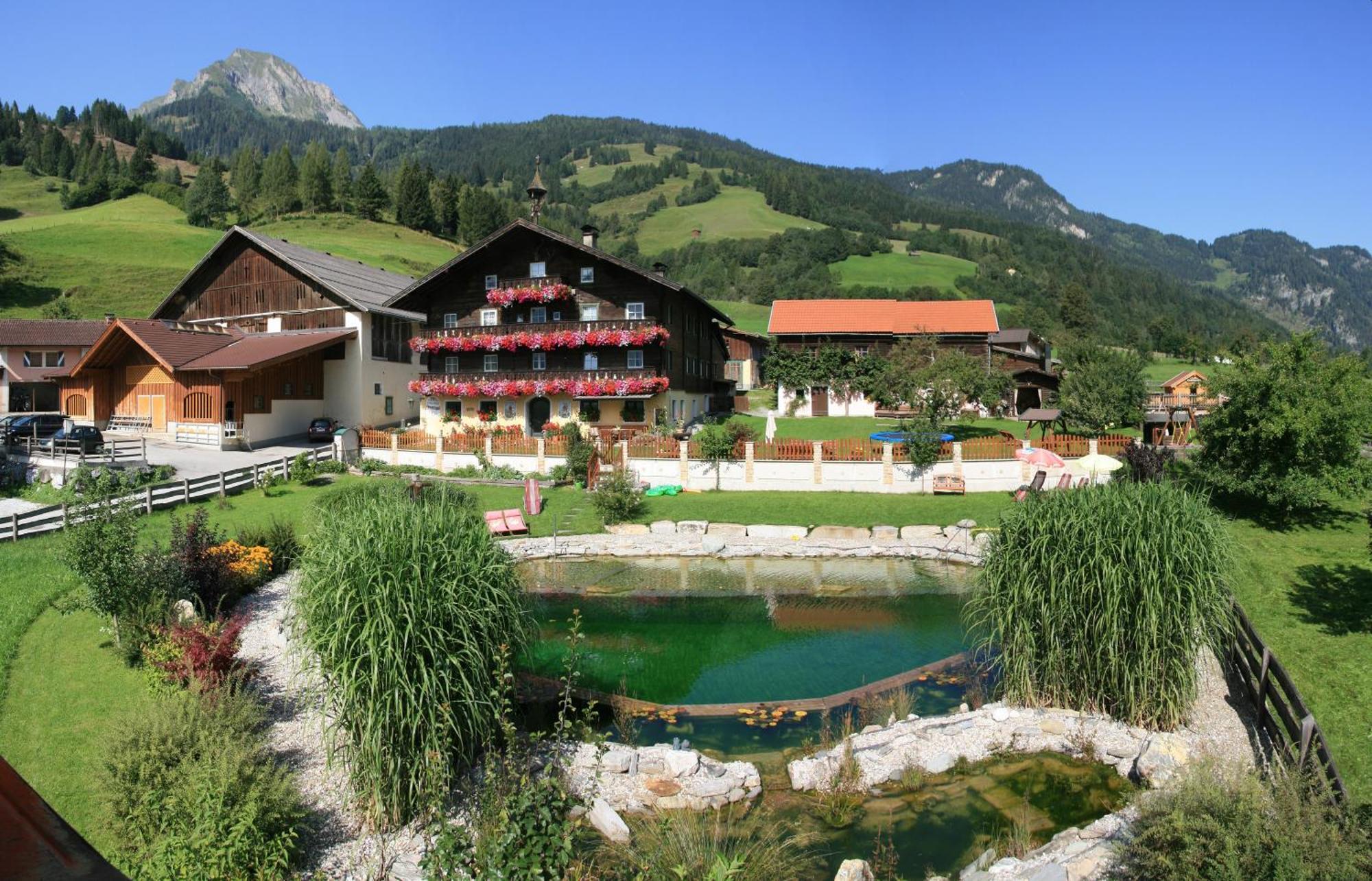 Amosergut Διαμέρισμα Dorfgastein Εξωτερικό φωτογραφία